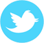 Logo twitter